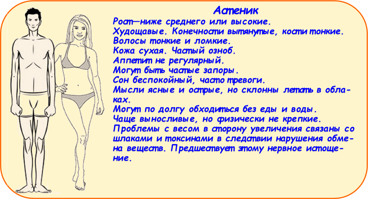 Тип телосложения - Астеник и его характерные особенности.