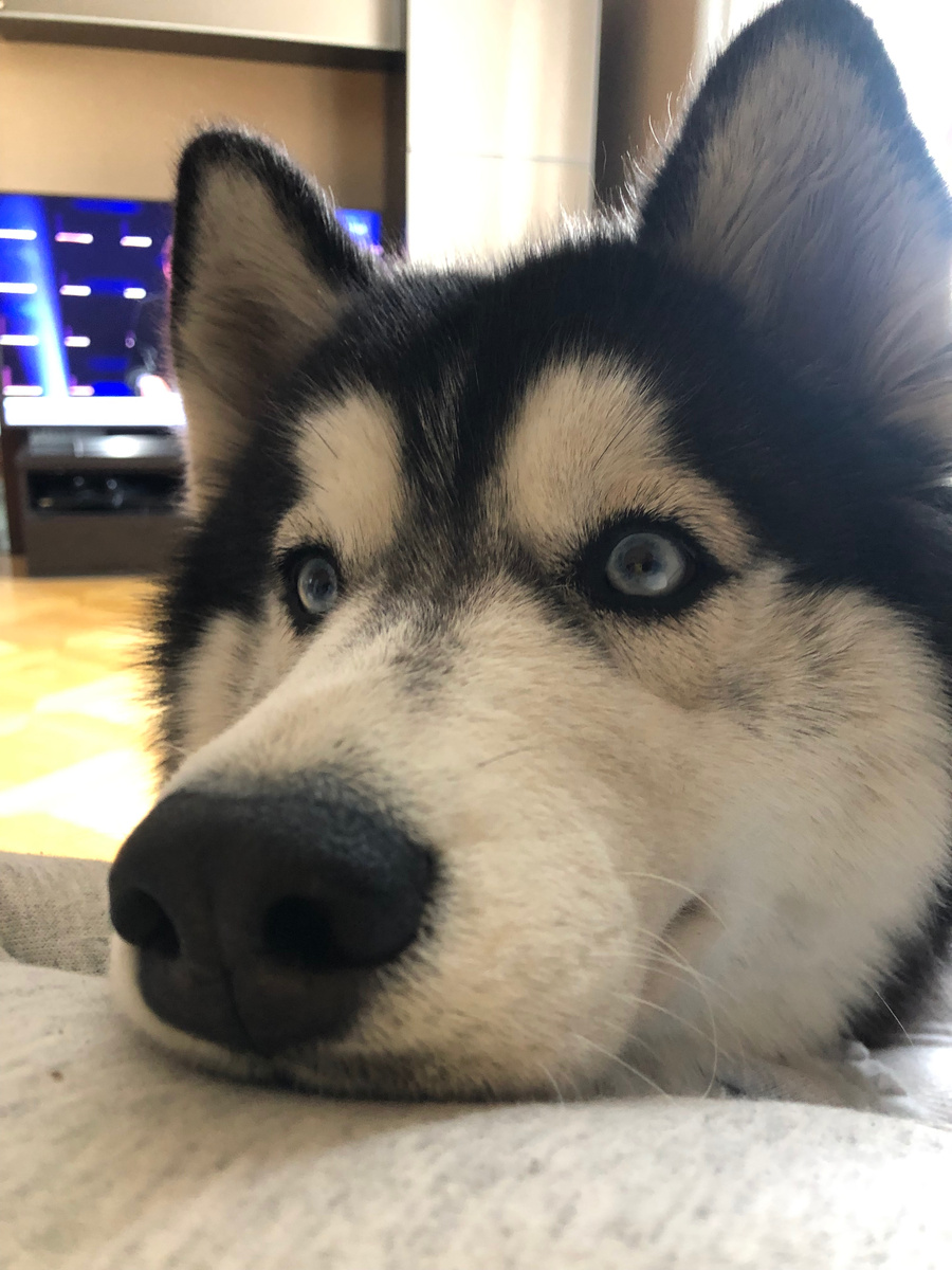 "Ну как меня можно оставить?"