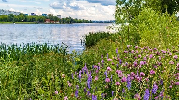 Где самые дешевые квартиры в Подмосковье?