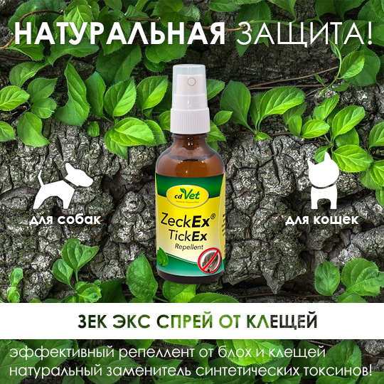 Эффективный спрей от клещей