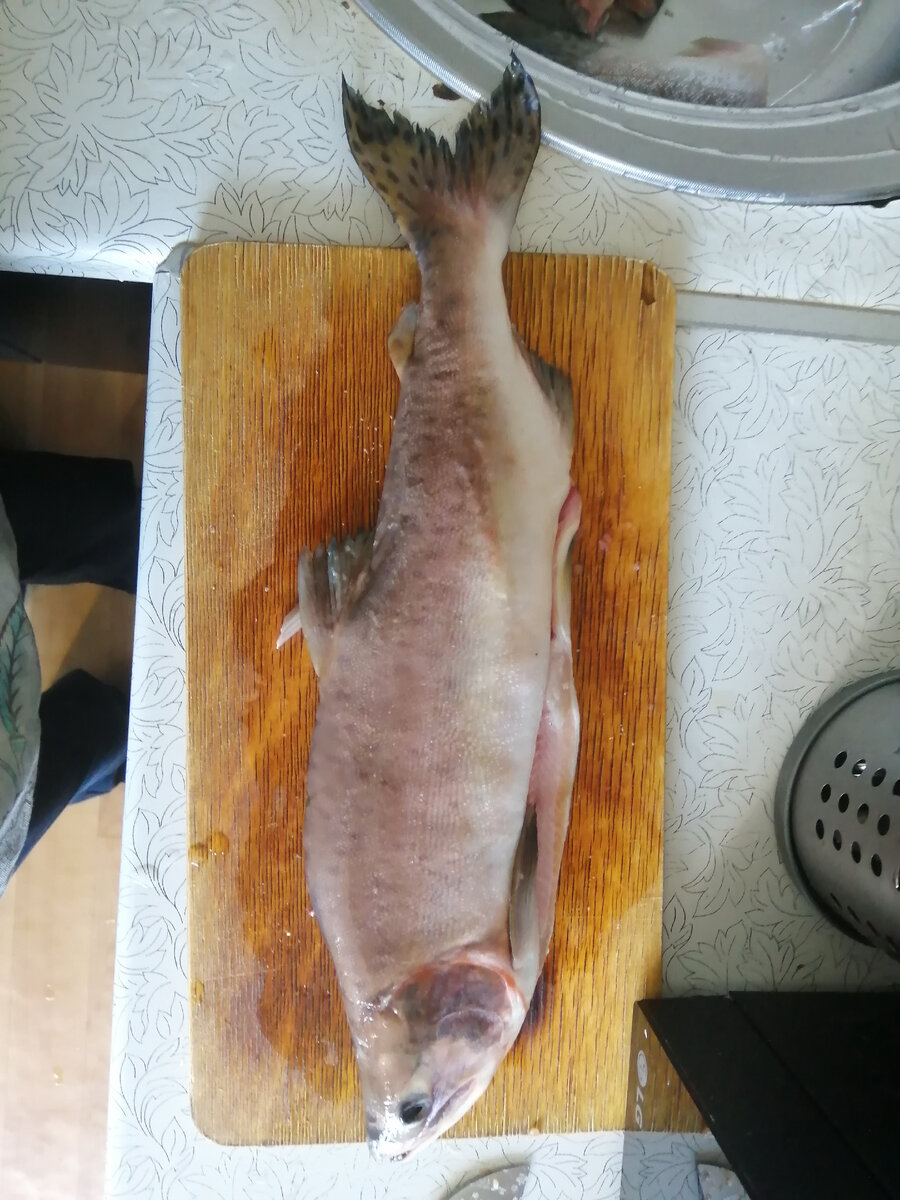 Экземпляр красивый. Самец с горбом. даже цвет сохранился. Брюхо распорото ровно без надрывов. Класс!