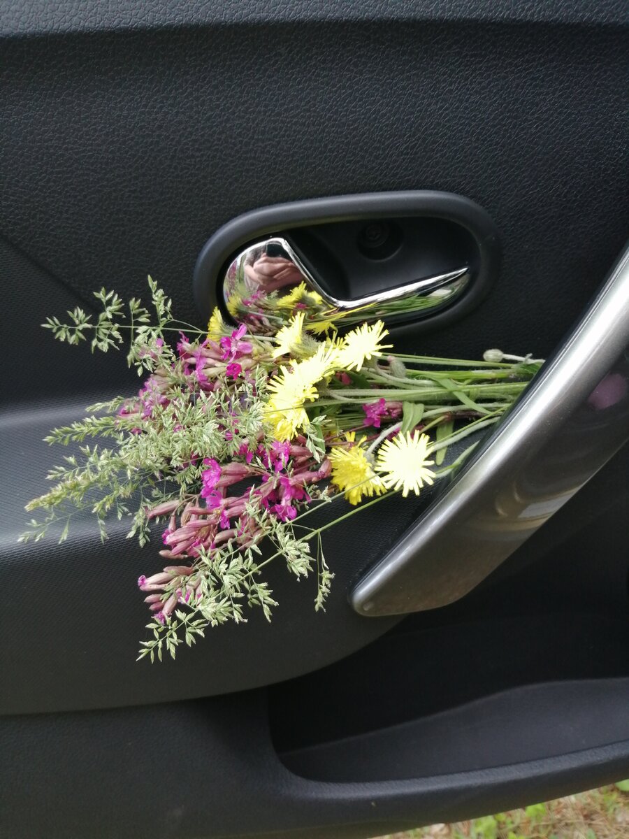 Украсила салон полевыми цветами.