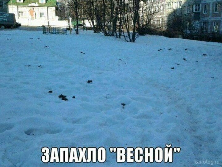 Май снег картинки с приколами