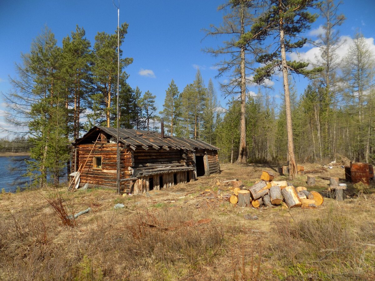 Избушка в тайге. Избушка в тайге