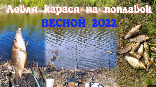 Ловля карася на поплавок ВЕСНОЙ 2022.