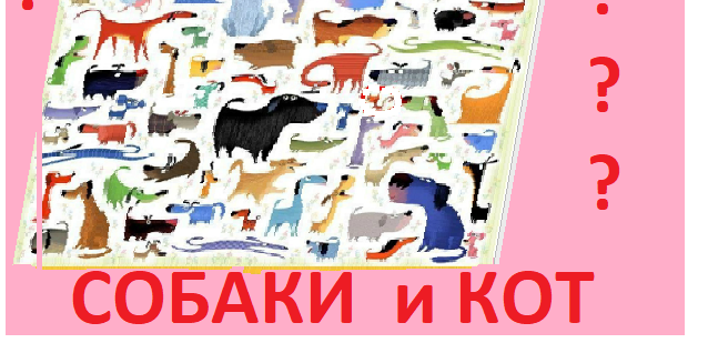 собаки и кот4.png 