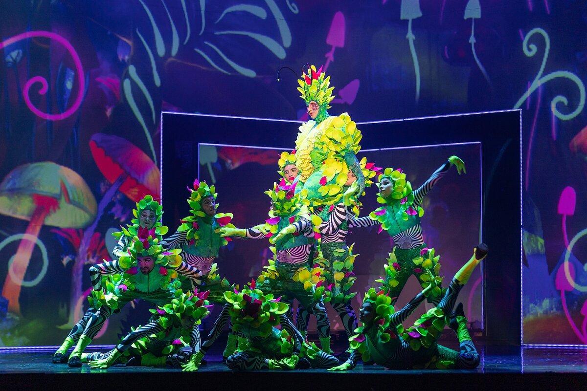 спектакль алиса в стране чудес в театре. мюзикл алиса матвейчук глеба матвейчука. алиса в стране чудес новосибирский музыкальный театр. алиса в стране чудес в музкомедии. мюзикл глеба матвейчука «алиса в стране чудес».