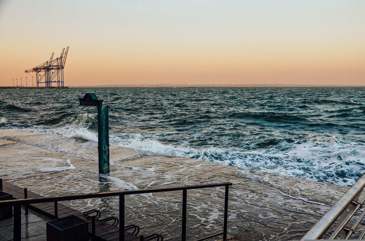 Фото: Alena Sheremeteva / pixabay.com