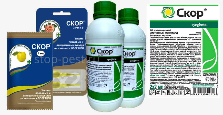 Фунгицид "СКОР", фото сайта https://stop-pest.ru