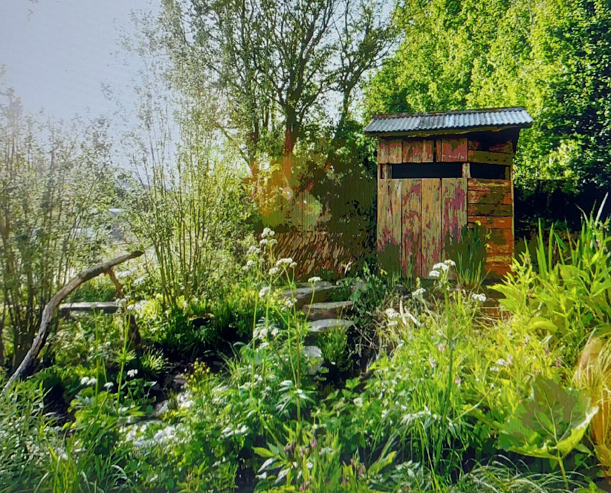 Победитель конкурса 