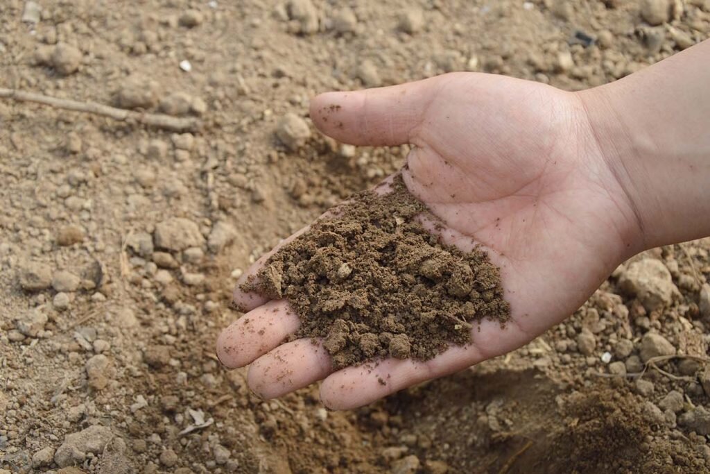 Фото взято с арт-лига.рф