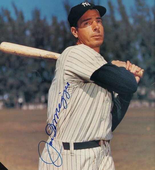 Фото из открытых источников 