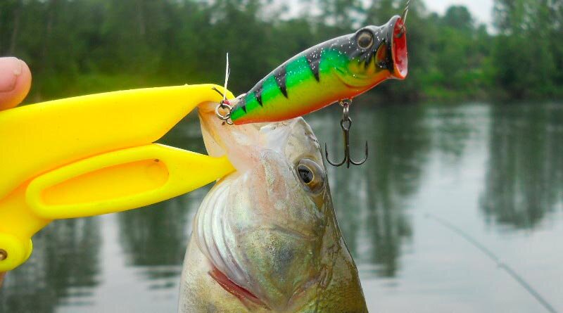 Картинка взята с сервиса Яндекс. Картинки 