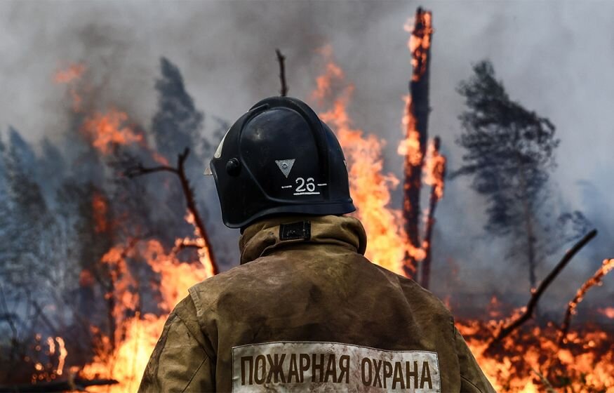    «Машины бросили, взрываются. С**бываемся!» Спасатели не справляются с пожарами в Рязанской области