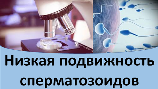 Мифы о сперматозоидах: сколько они живут на одежде, в воздухе и воде