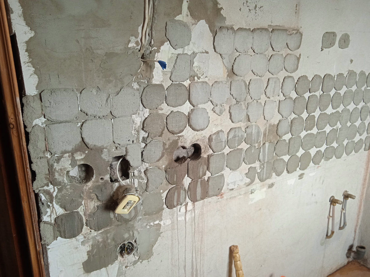 Сюрприз еще не вылупился.