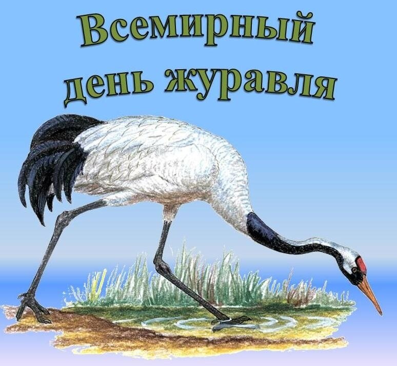 Всемирный день журавля.