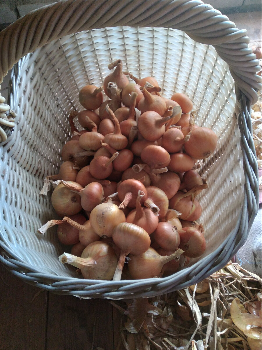 Целую корзину перебрала