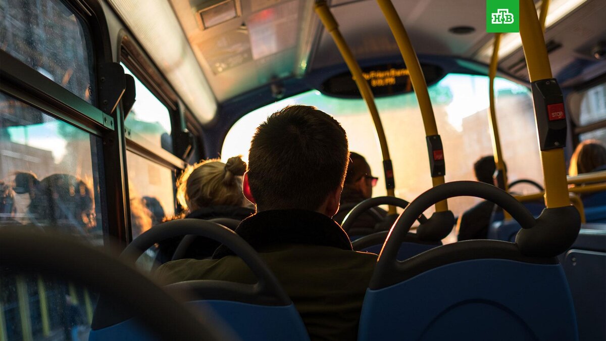    Фото: unsplash.com