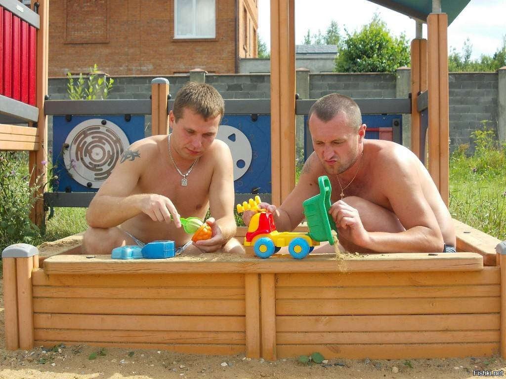 Картинка из яндекса 