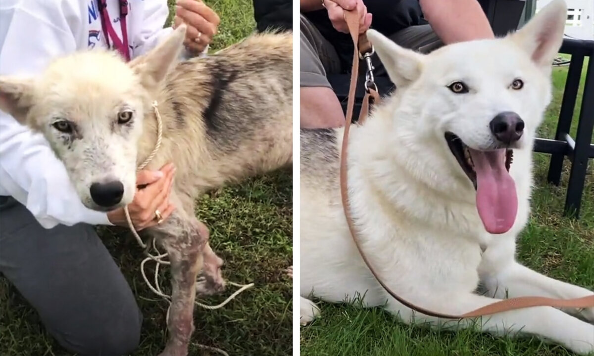 Преображение Финна