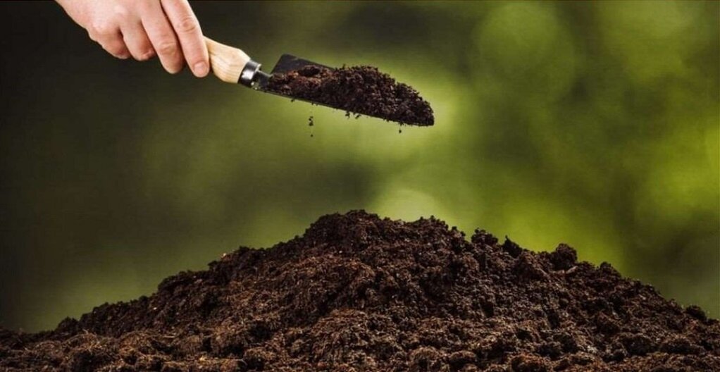 Заботящаяся почва. Почва. Чистая почва. Проблемы почвы. Почва и строительные материалы.