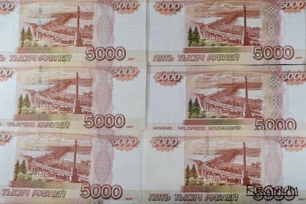    Деньги Дарья Антонова © ИА REGNUM