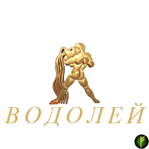 оккультные науки/Самые дружелюбные знаки Зодиака/Водолей
