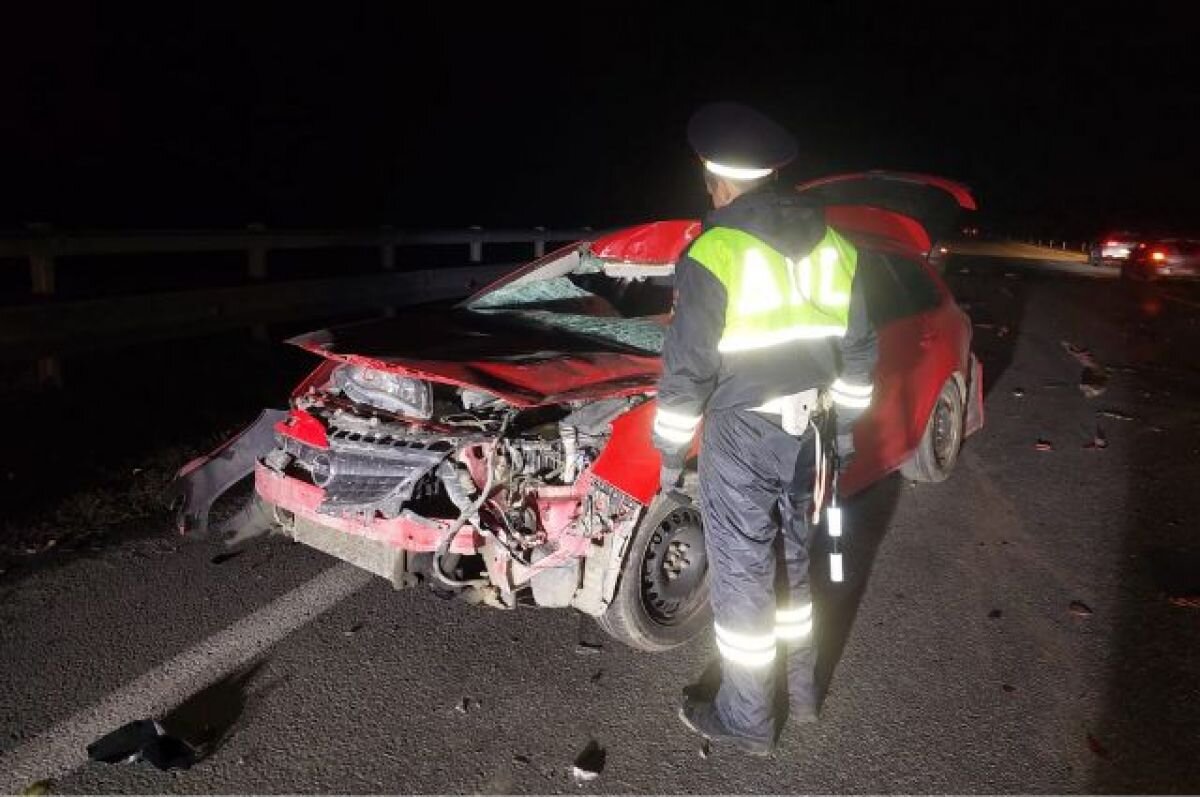    Два человека пострадали с ДТП с лосем в Свердловской области