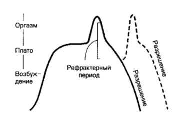копулятивный цикл по Мастерс и Джонсон