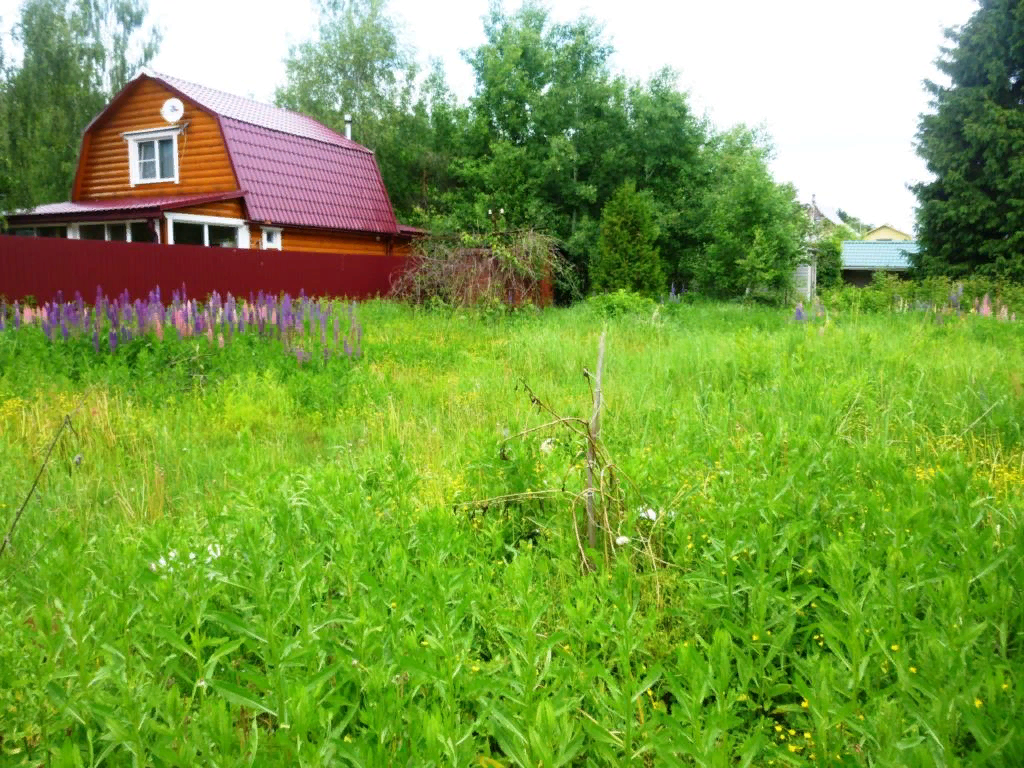 Фото участка снт. Садовое некоммерческое товарищество (СНТ). СНТ Дубок Всеволожский район. Участок в садоводстве. Земельный участок 6 соток.