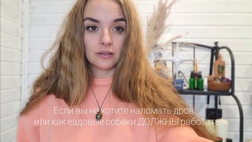 Простые правила для тех кто планирует катать детей на собаках☝️. Не всё так однозначно!