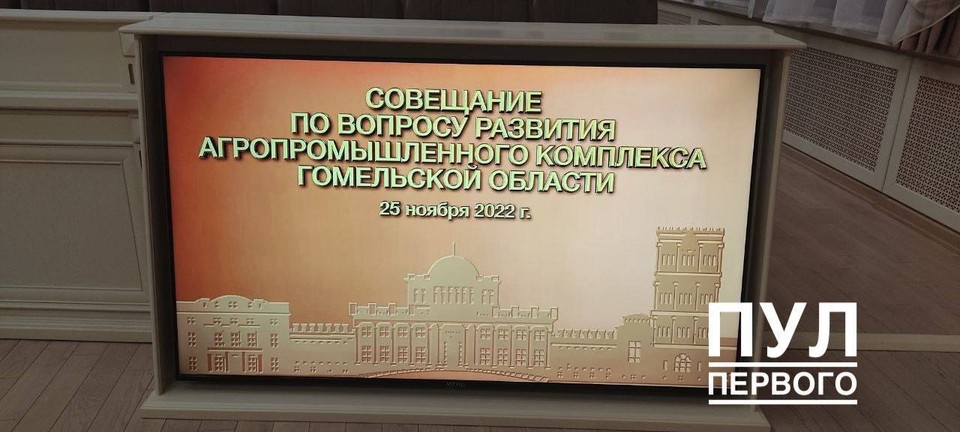     Лукашенко проведет в Гомеле важнейшее совещание. Фото: телеграм-канал «Пул Первого»
