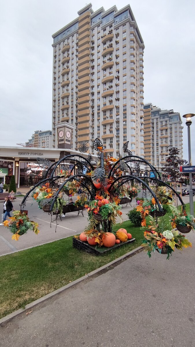Краснодар в ноябре. 