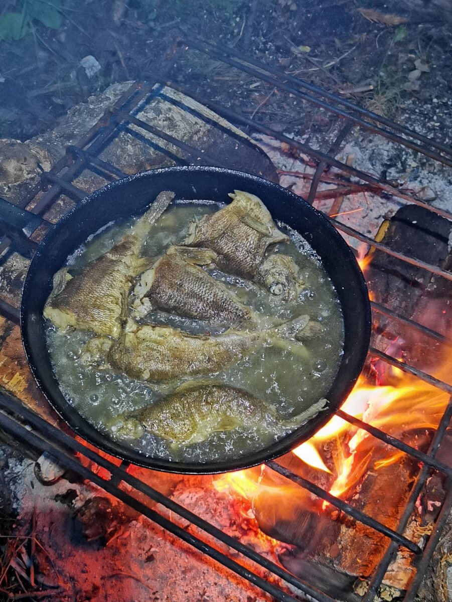 Жареный хариус, кабачки, грузди, вяленые томаты и легкий базиликовый песто