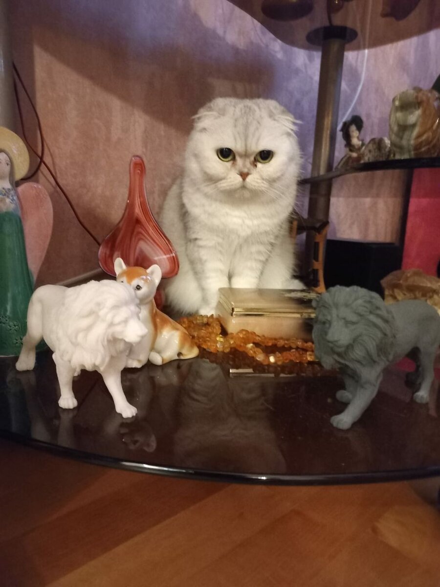 Фото из дома. Циря с родственниками))) И кто красивее?)))