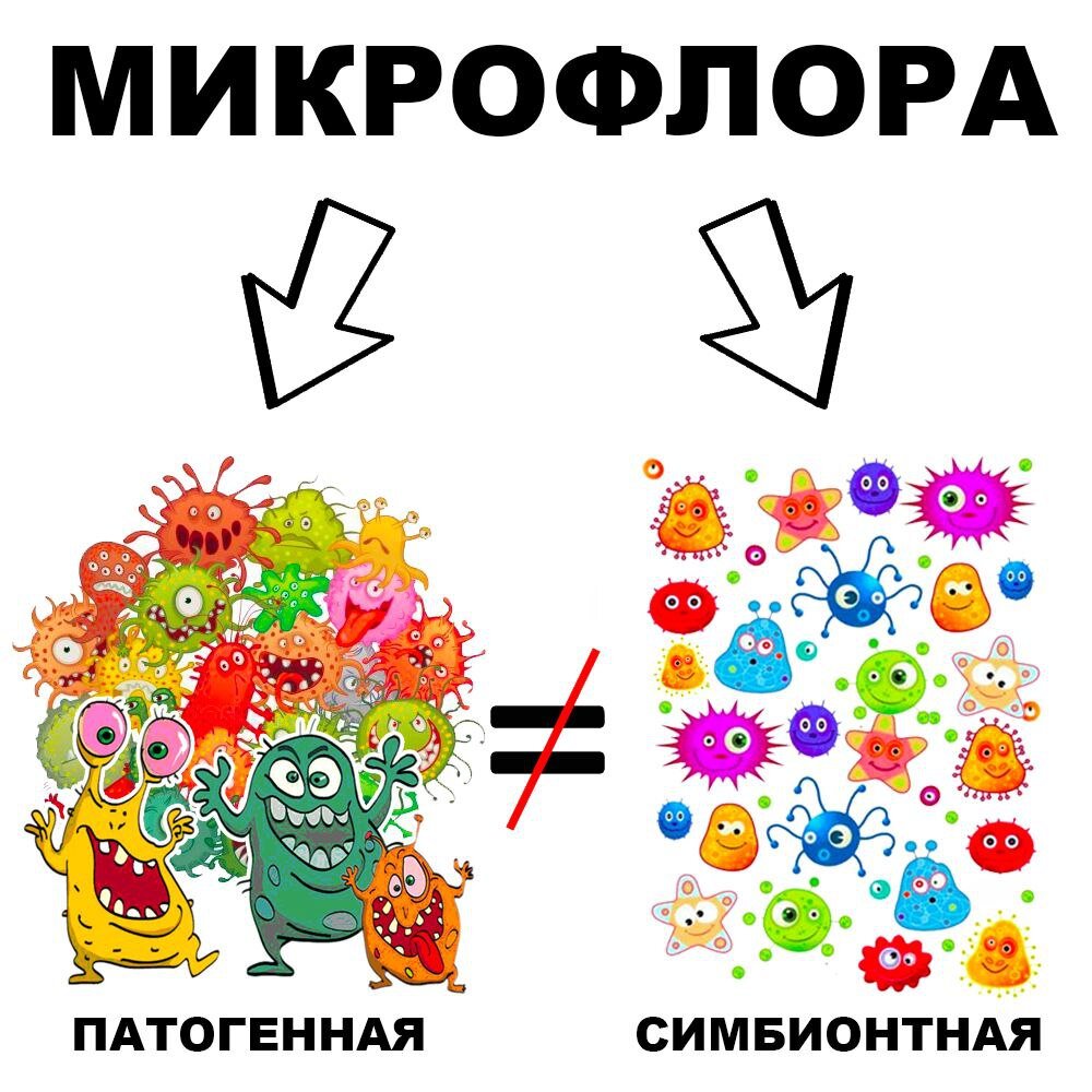 Патогенная микрофлора. Симбионтная микрофлора. Пищевая Алхимия. Стикер микрофлора.