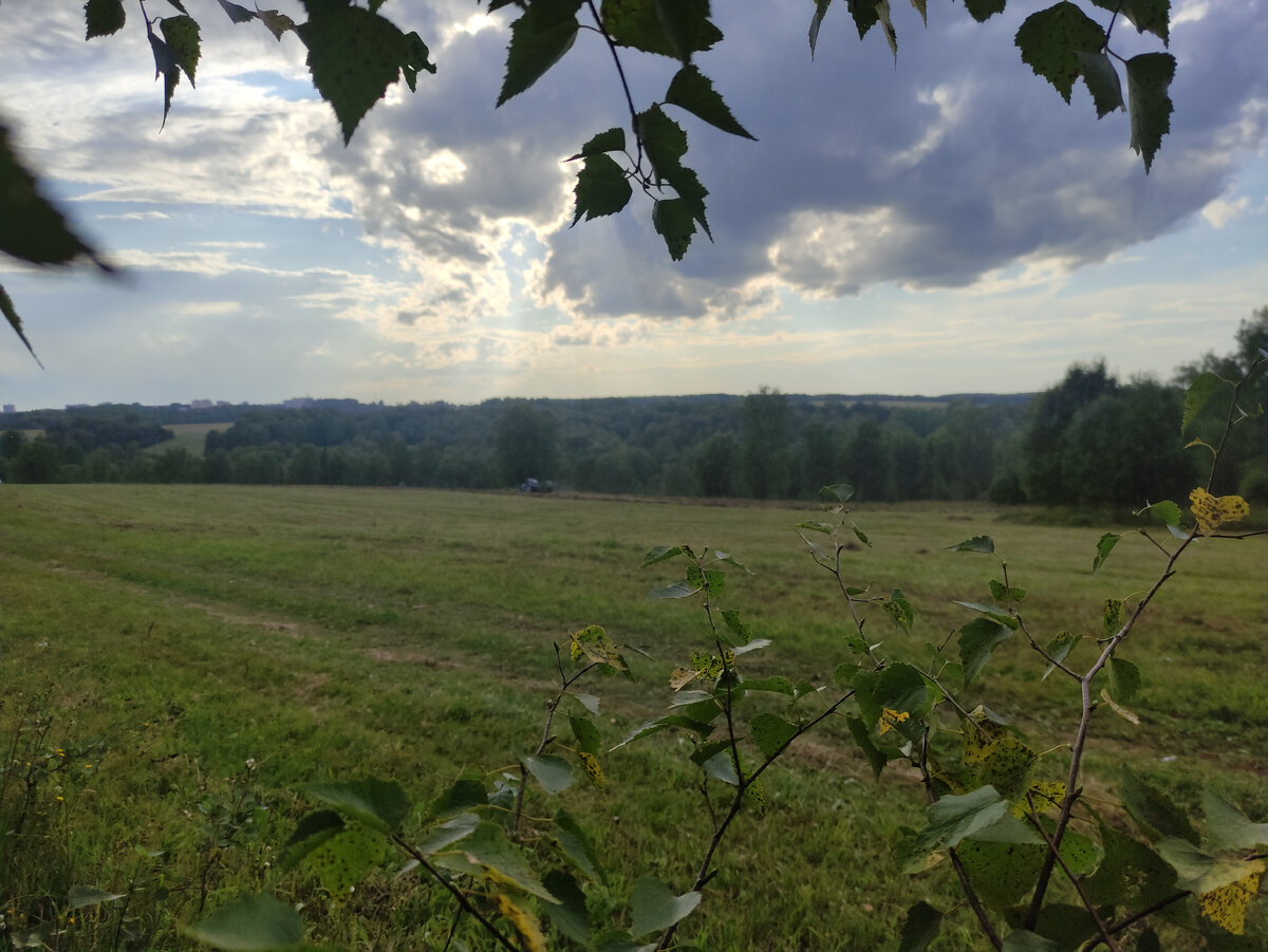 Селяне собирают скошенную траву