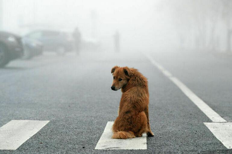   Максим Блинов / РИА Новости