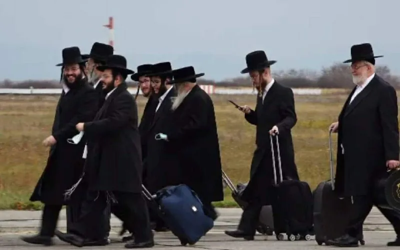 яндекс картинки