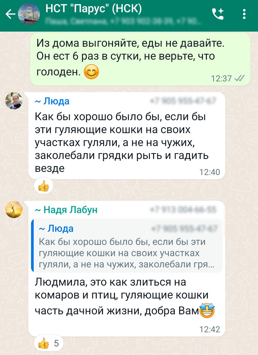 Парус разделился на два лагеря