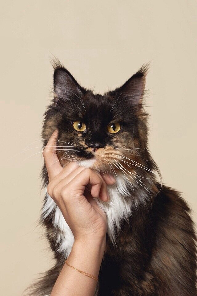 Так ли полезно молоко?