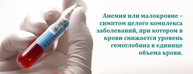 Анизоцитоз — Википедия