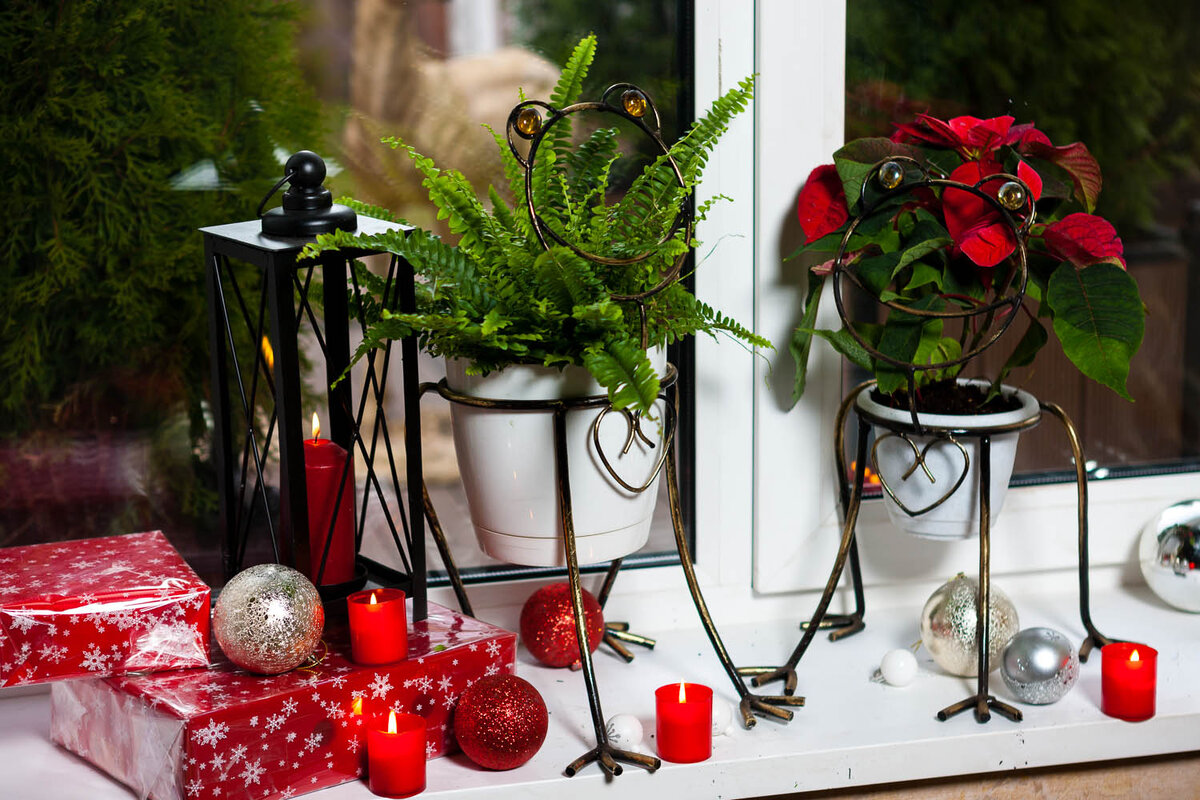 Цветочницы на окно