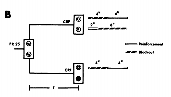 Схема эксперимента Говарда Рахлина  