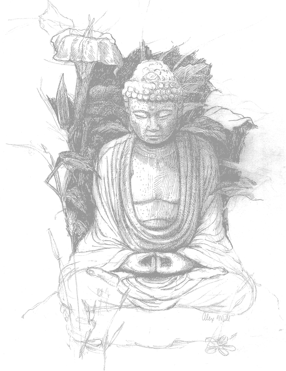 В медитации рождается мудрость, недостаток медитации погружает в неведение...