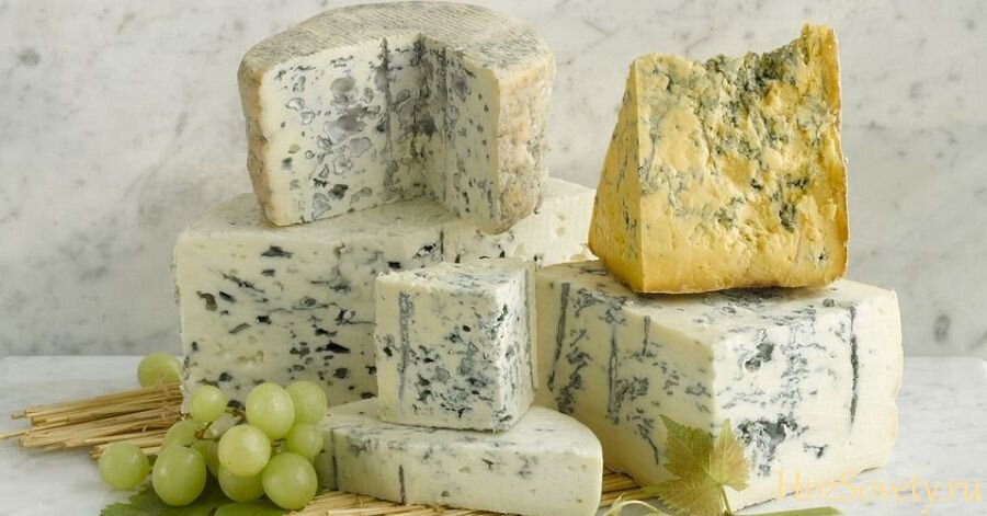 Не каждый продукт, покрытый плесенью, считается съедобным. Сыр с плесенью относится не просто к съедобным, а к полезным продуктам.