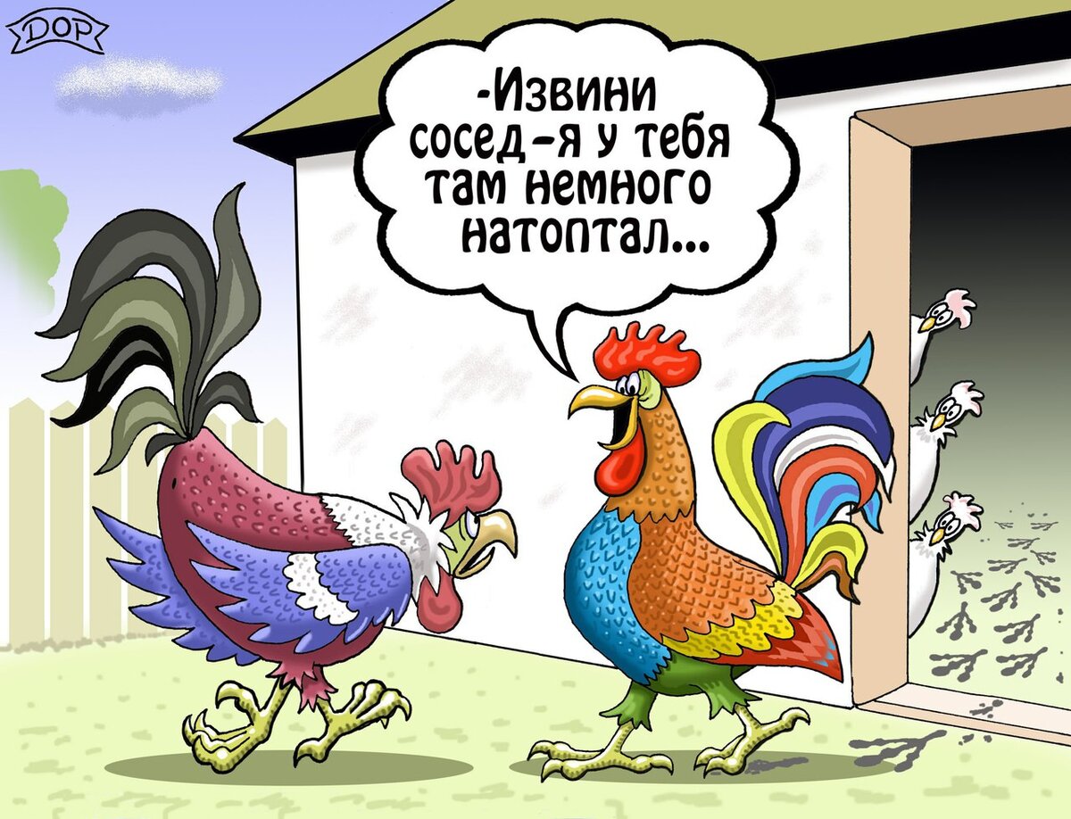Смешные картинки с петухами