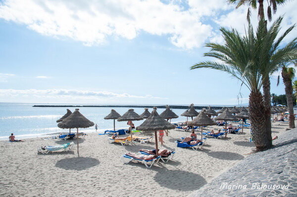  Лягушка-путешественница в одноименном советском мультфильме говорила, что Юг - это край, похожий на рай. Не о Тенерифе ли она вела рассказ? Побывав осенью в отпуске на этом Канарском острове, я склонна согласиться c мультяшной героиней. Во-первых, потому, что тут круглый год тепло - температура воздуха не опускается ниже 20 градусов даже зимой. Недаром многие европейцы приезжают сюда погреться на новогодние каникулы. Во-вторых, на Тенерифе очень красивая природа - и на омываемом Атлантикой побережье, и в горах центральной части острова. И, наконец, тут все хорошо организовано для комфортного и безопасного отдыха. На Тенерифе приезжают и большие молодежные компании, чтобы снять недорогие апартаменты и потусить на пляже и в барах, и буржуазные семейные пары, чтобы расслабиться в бассейнах 4-5 звездочных отелей. На острове есть отдых на любой бюджет. 
 
 Горный серпантин Часть курортов  расположилась в более влажной северной части (Пуэрто де ла Круз, Санта Круз де Тенерифе), однако самые популярные пляжные зоны находятся на более сухом юге (серферский рай - Эль Медано, тусовочные Лос Кристианос и Плайя де Лас Америкас, респектабельный Коста Адехе). Мой отель находился как раз на последнем из перечисленных, поблизости от пляжей del Duque и del Fanabe. 
 