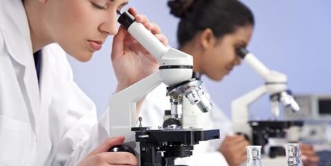  Лабораторные исследования – самый точный способ обнаружения глюкозы в моче